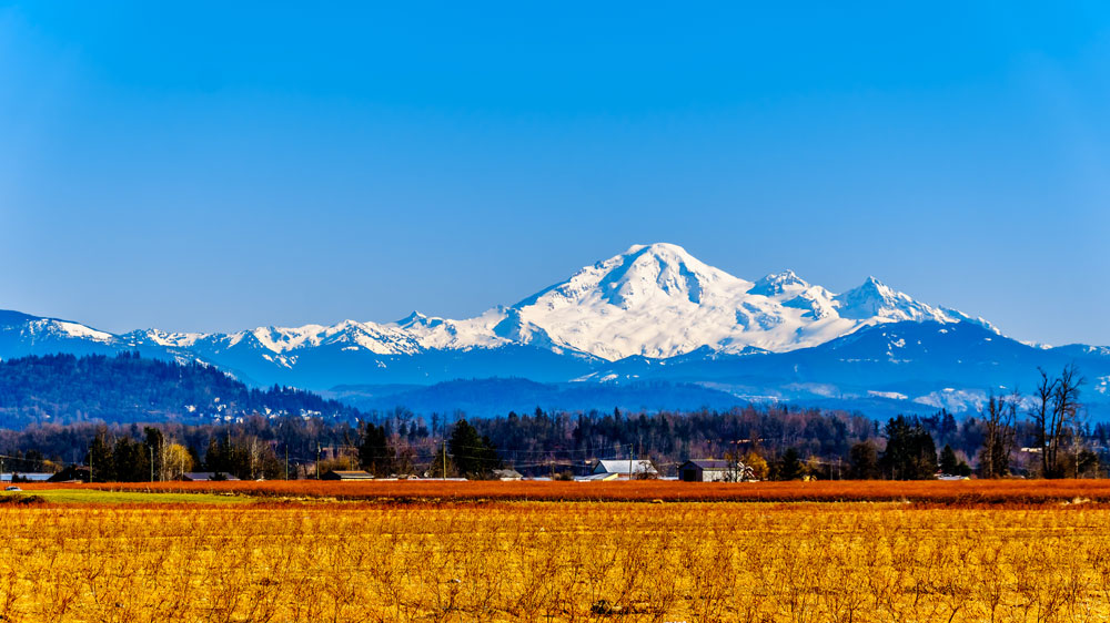 Abbotsford Property Management