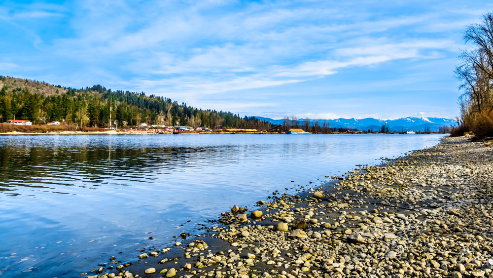 Langley Property Management