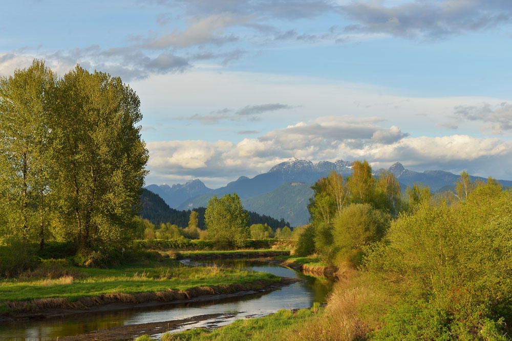 Port Coquitlam Property Management